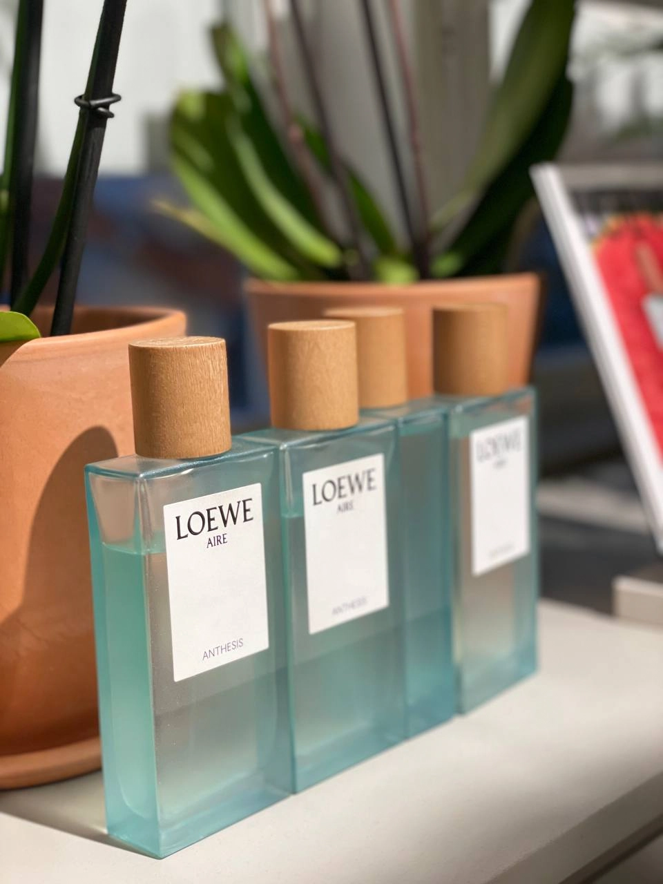 Loewe by Bambam