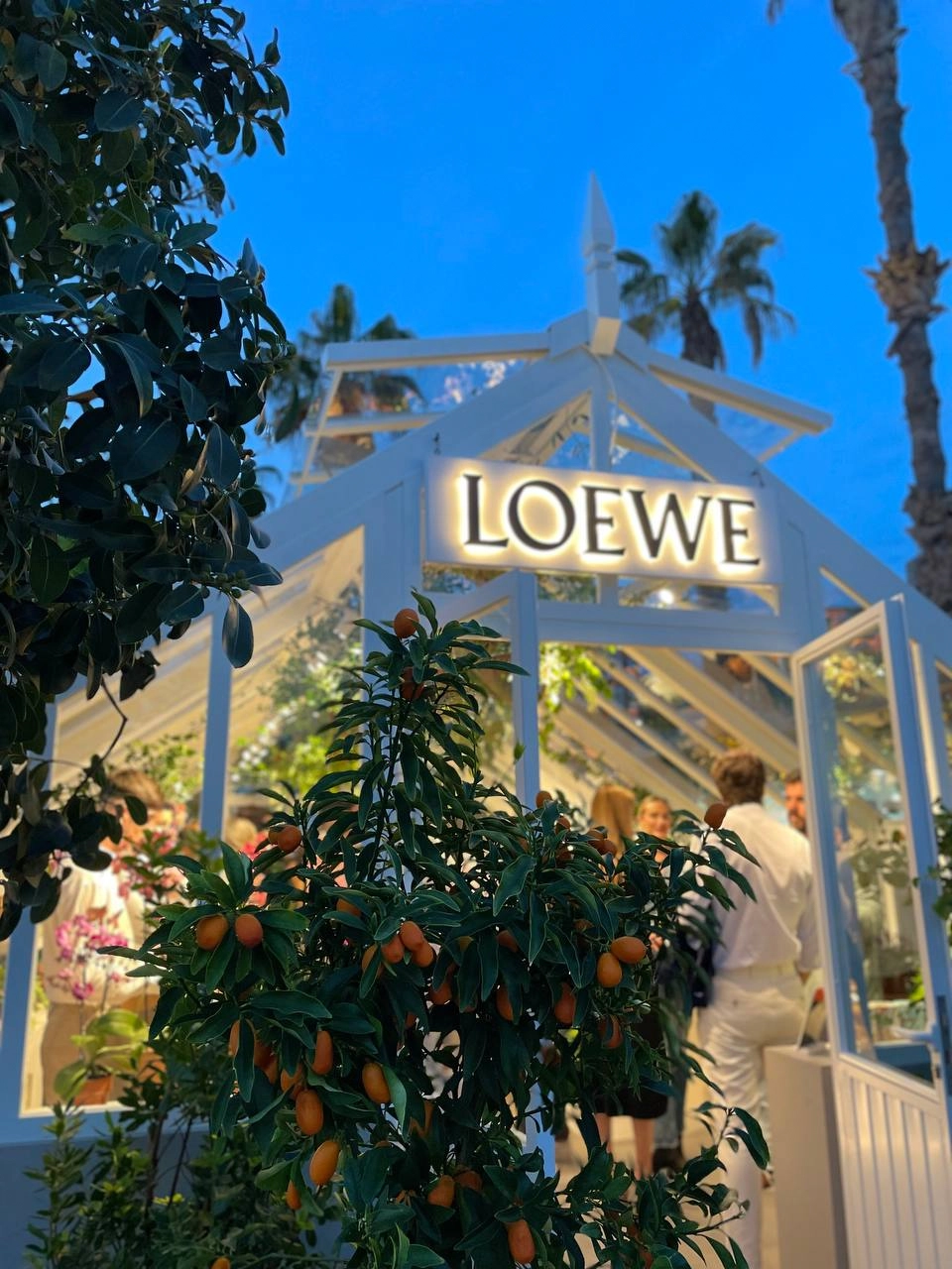 Loewe by Bambam