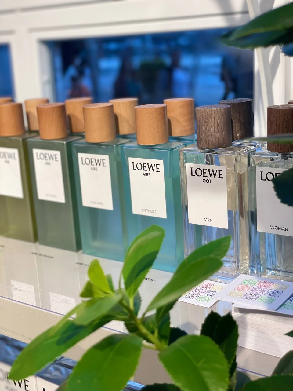 Loewe by Bambam