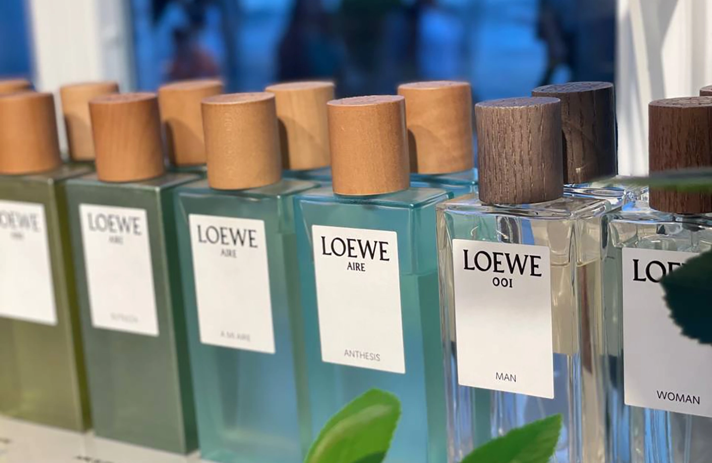 Loewe by Bambam